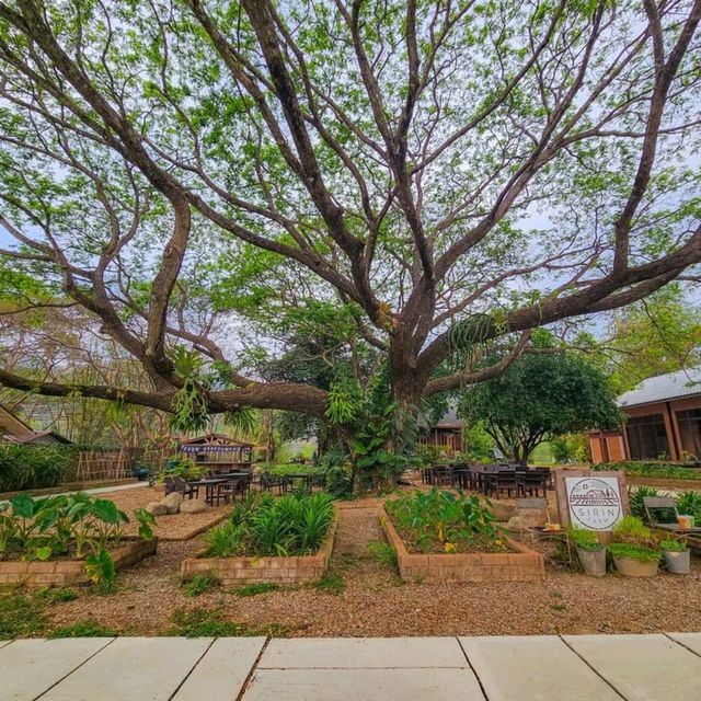 ที่พัก ร้านอาหาร คาเฟ่ ริมลำธาร เชียงราย