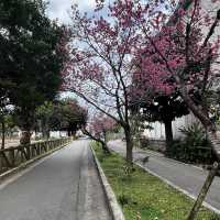 那霸與儀公園（Yogi Park）
