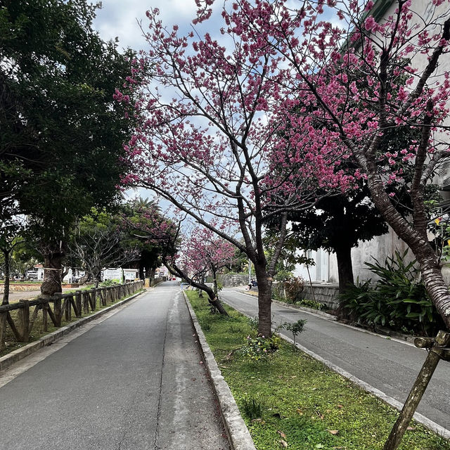 那霸與儀公園（Yogi Park）