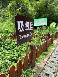 Baimo Cave – A Majestic Limestone Karst Cave in Guangxi