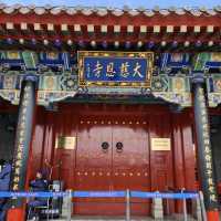 Echoes of History at the Wild Goose Pagoda