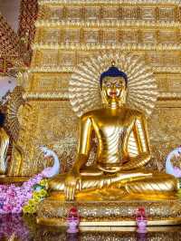 วัดพระธาตุหนองบัว