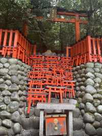 京都5間氣氛好、能量強的神社！感覺有點不一樣吧～