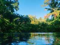 🌴Serene Infinity Pool at The Farm🌴