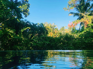 🌴農場的寧靜無邊際泳池🌴