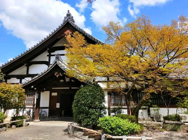知恩寺百萬遍市集，京都最大規模的手作市集