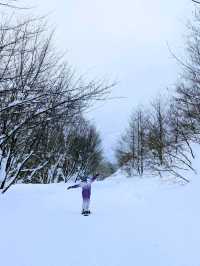 Tsugaike: Powder Playground in the Japanese Alps