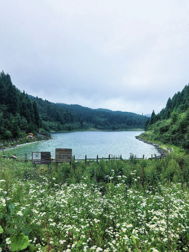Wuling Mountain: Discovering a 25°C Summer Paradise! 