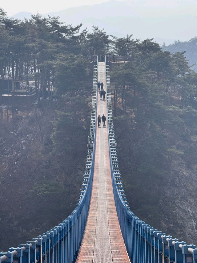 😁원주 소금산 출렁다리 케이블카