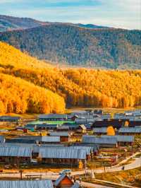 Beneath the Birch: Discovering Altay’s Golden Season