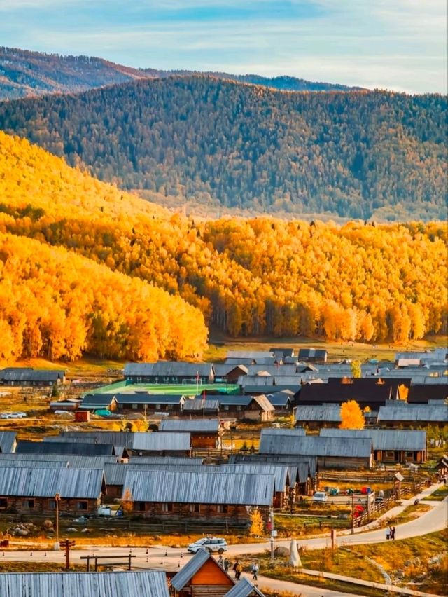 Beneath the Birch: Discovering Altay’s Golden Season