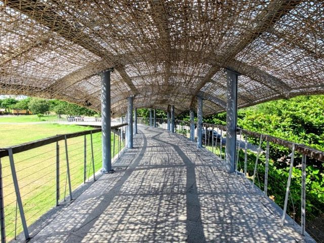 #海濱公園-臺東縣臺東市