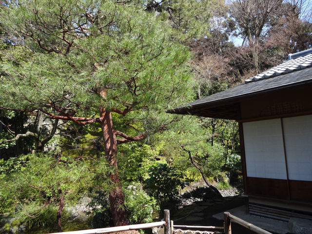 知恩院：京都の中心で心洗われるひととき