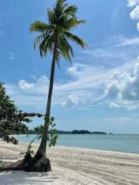 Lagoi Beach: A Scenic Escape 