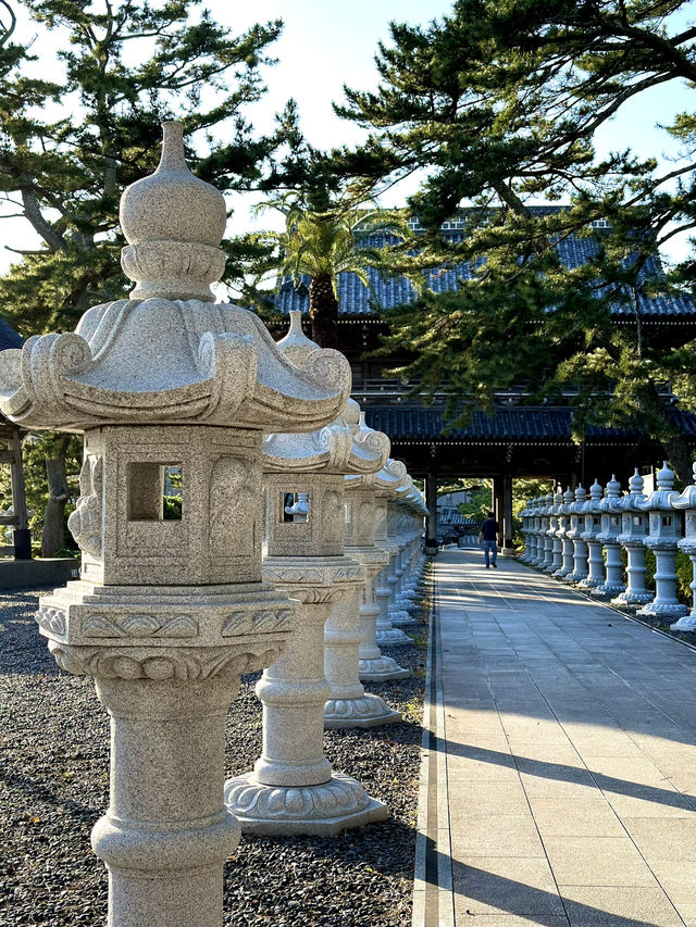 【千葉】続く参道に並ぶ灯篭 が美しい景観