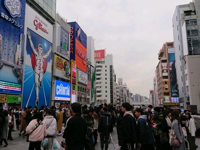 【大阪】道頓堀を散歩する！