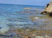 Where the Sea Meets Serenity