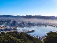 Wellington from the Top: A Mount Victoria Must-See