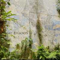 Eclectic Harmony at The Baboon House