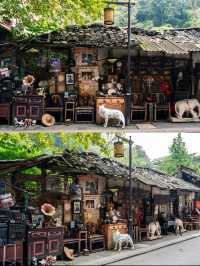 Dujiangyan: A Timeless Marvel of Ancient Engineering