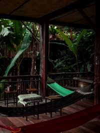 บ้านต้นไม้แม่แมะ โฮมสเตย์กลางป่าราคาหลักร้อย 🌲🛖🪵