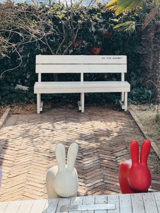 Coastal Calm: Your Geoje Seaside Escape in April 🌊☕ 