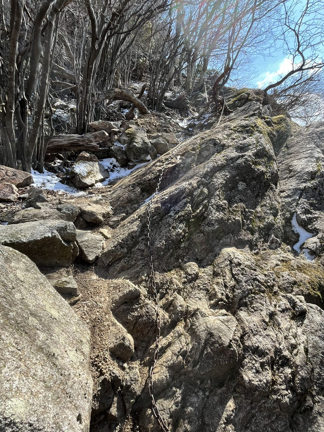 【錫杖ヶ岳】⛰️ 東海の百山