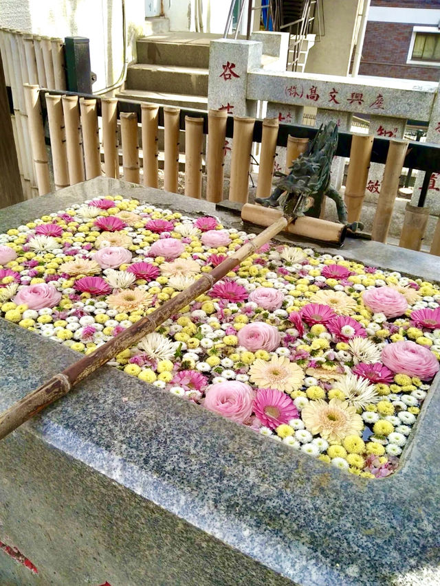 Spring Serenity at Koenji Hikawa Shrine💐