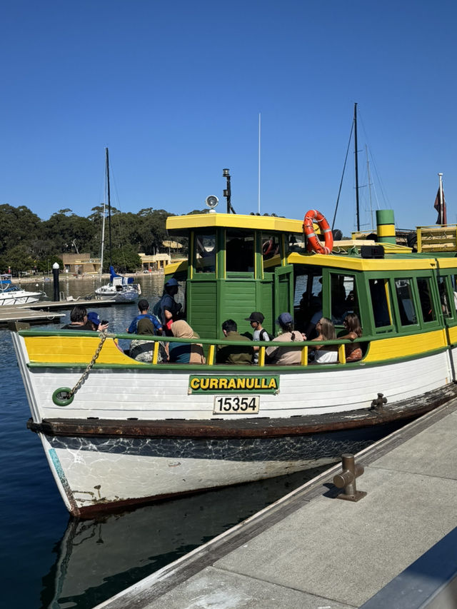 【シドニー】電車とフェリーで行ける大自然！Royal National Park で癒しのトレイル旅