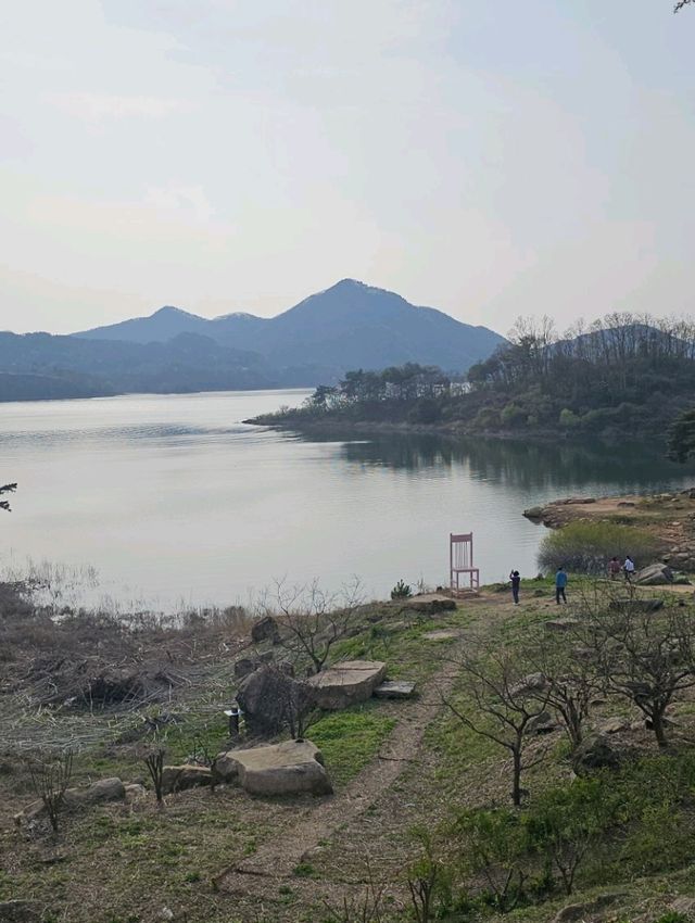 벚꽃 구경은 단양에서!