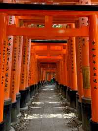 Secret Dawn: Chasing Cherry Blossoms at Fushimi Inari’s Hidden Paths