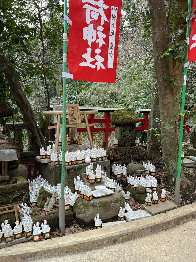 鎌倉充滿狐狸的神秘神社｜佐助稻荷大社！