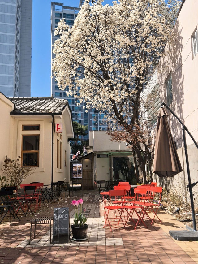 🌻용산 삼각지 피요르드🤎
