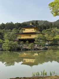 A Journey Through Innovation, History, and Beauty: Kansai and Beyond