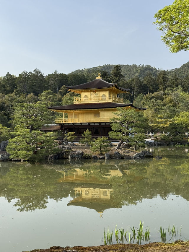 A Journey Through Innovation, History, and Beauty: Kansai and Beyond