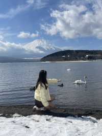 ทะเลสาบยามานากะ Unseen FUJISAN
