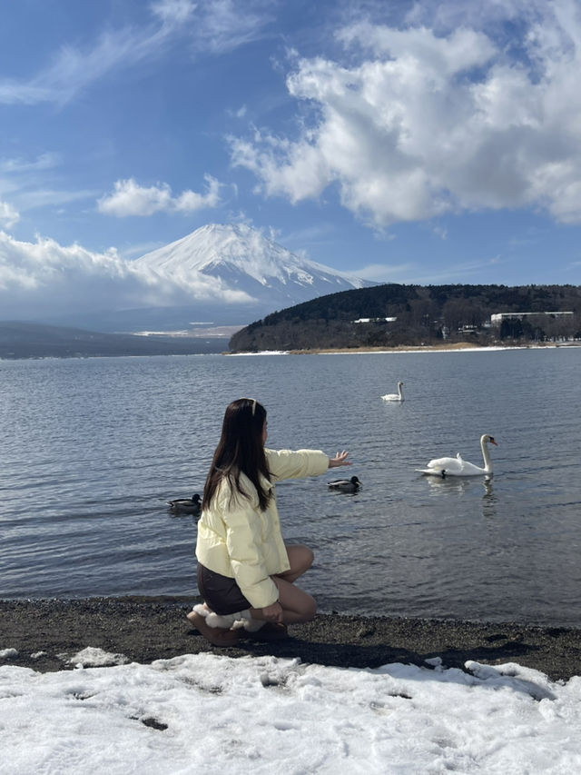 ทะเลสาบยามานากะ Unseen FUJISAN