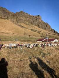 ✨Day 5: From Black Sand Beaches to Reykjavik Streets: A Day of Icelandic Wonders!