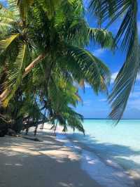 ✨ Discover Paradise at Addu Atoll, Maldives! ✨