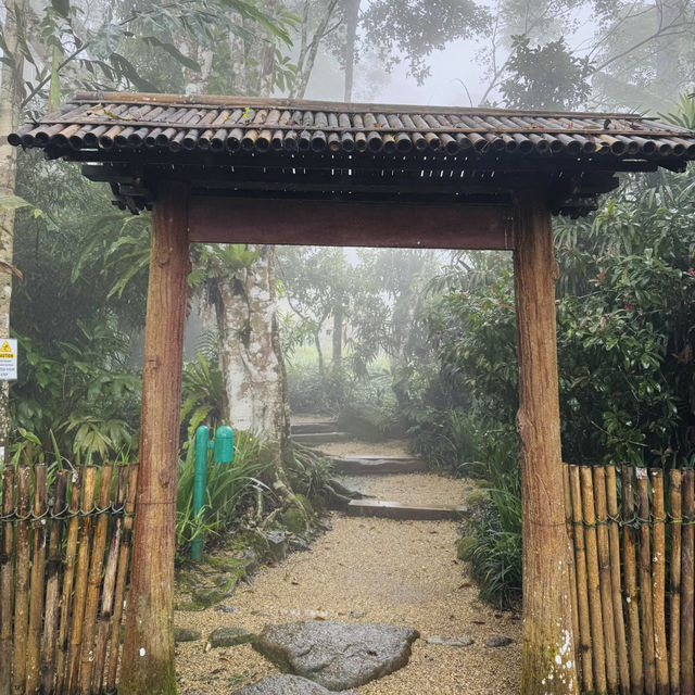 A Walk Through the Bamboo Gate