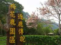 阿里山國家風景區-管理處暨觸口遊客中心
