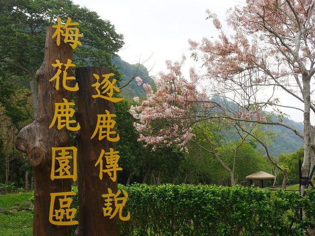 阿里山國家風景區-管理處暨觸口遊客中心
