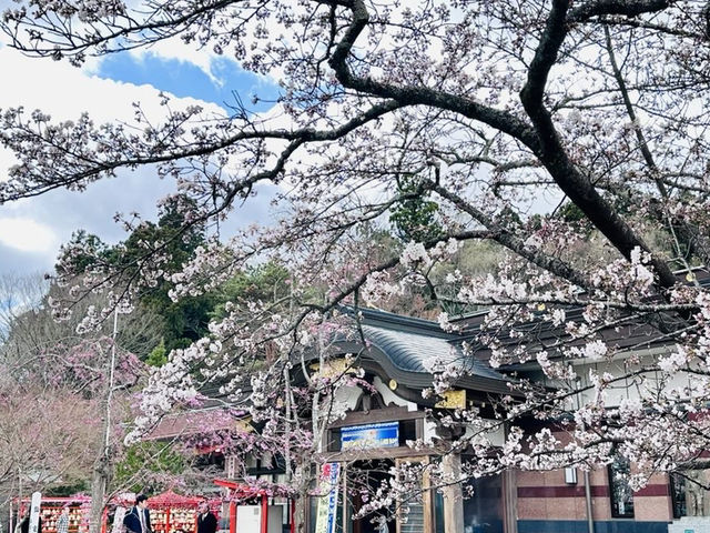 🇯🇵 仙台也有護國神社歷史重地🩵