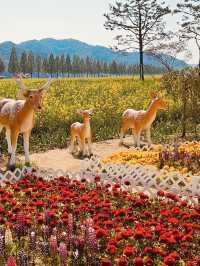 Beautiful scenery at Namji sport park