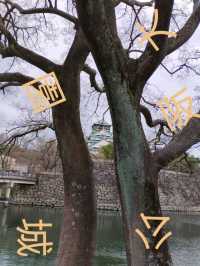 大阪城公園历史與自然的完美融合