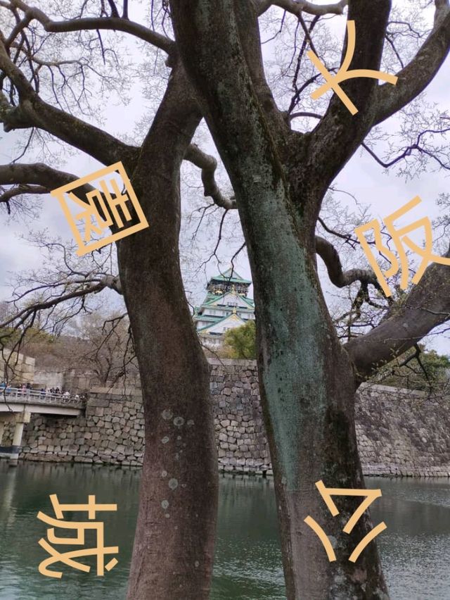 大阪城公園历史與自然的完美融合