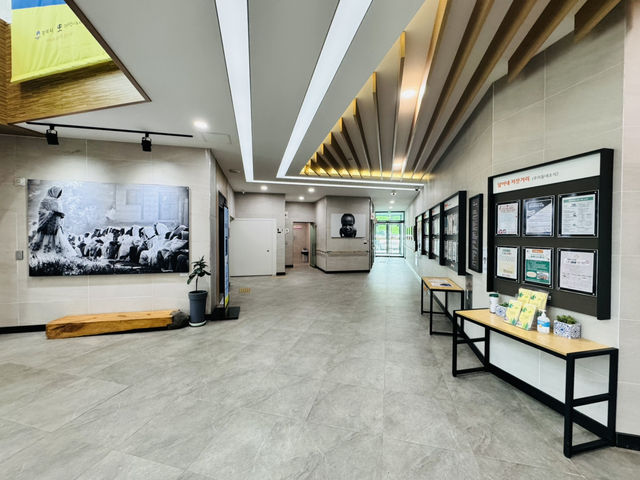 Discover Baedari’s Book Haven