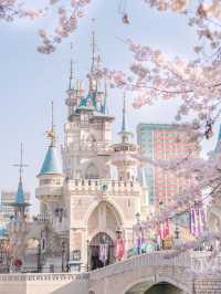 HỒ SEOKCHON | MÙA ANH ĐÀO NỞ 