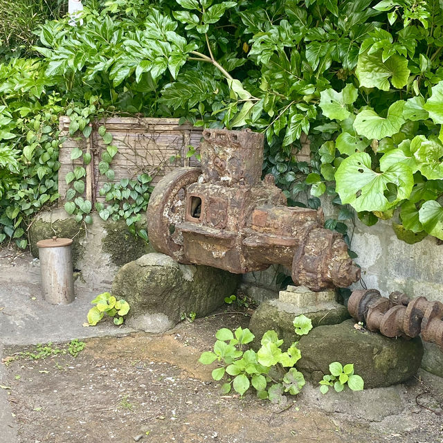 【神奈川 横須賀】猿島