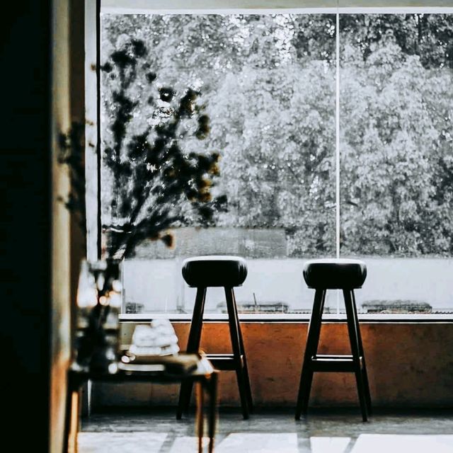 " Still.Coffee&Life " 💚🍃🌾